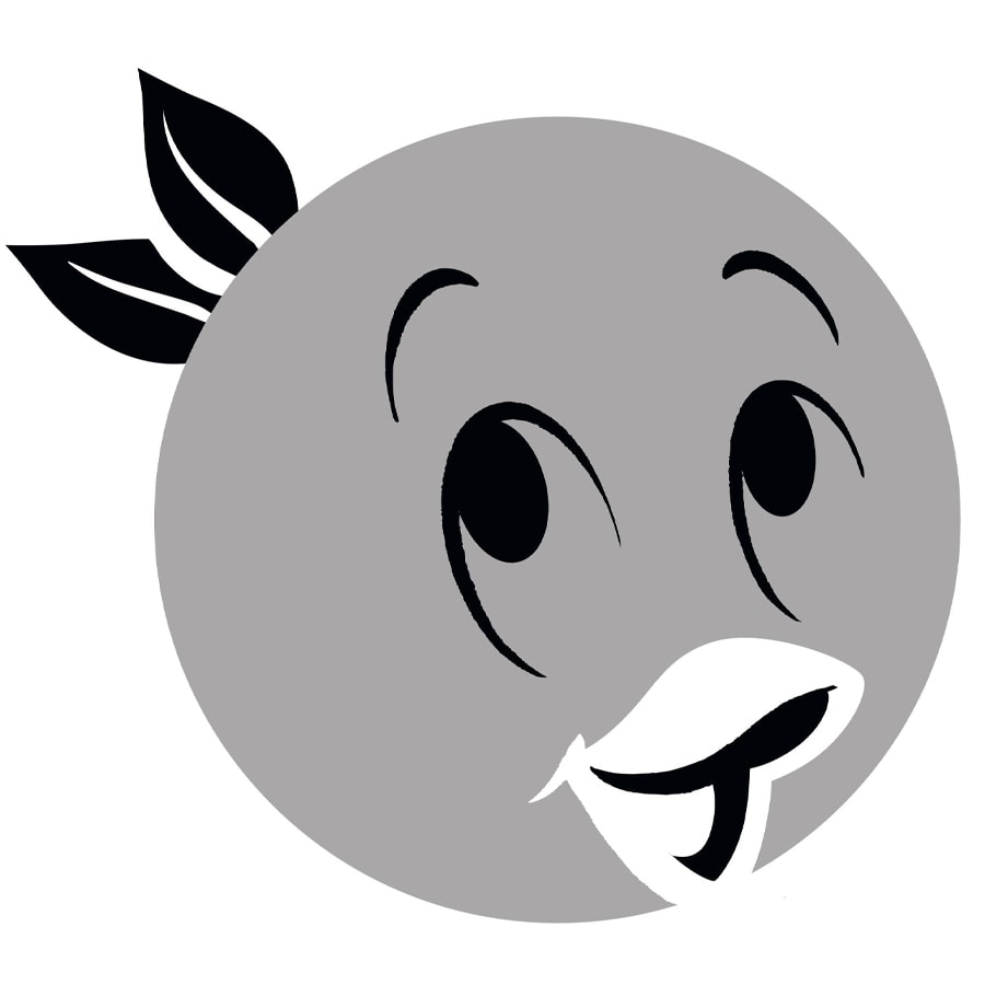 Orange Bird Disney Pumpkin Carving Printable Stencil