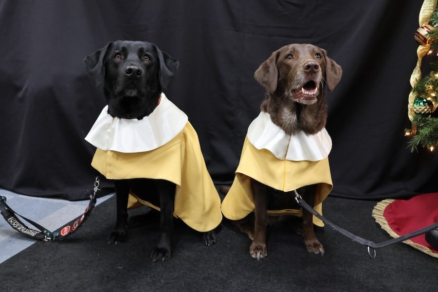 Briar Rose and Blossom wait for further instructions at their robe fitting