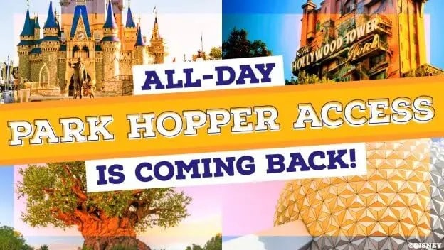 What is New in 2024 at Walt Disney World We Are Excited About