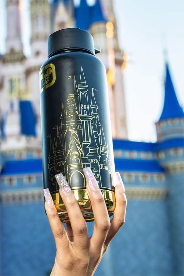 2024 Walt Disney World Water Bottle