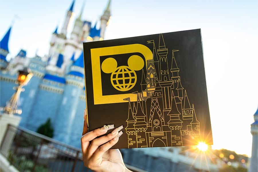 2024 Walt Disney World Photo Album