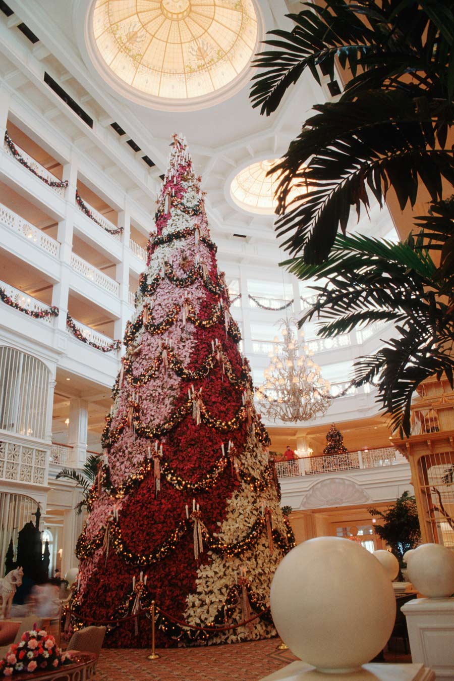 A large poinsettia tree at Disneys Grand Floridian Resort Spa in 1992