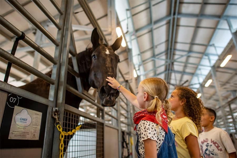 Guests with a horse at Tri Circle D Ranch