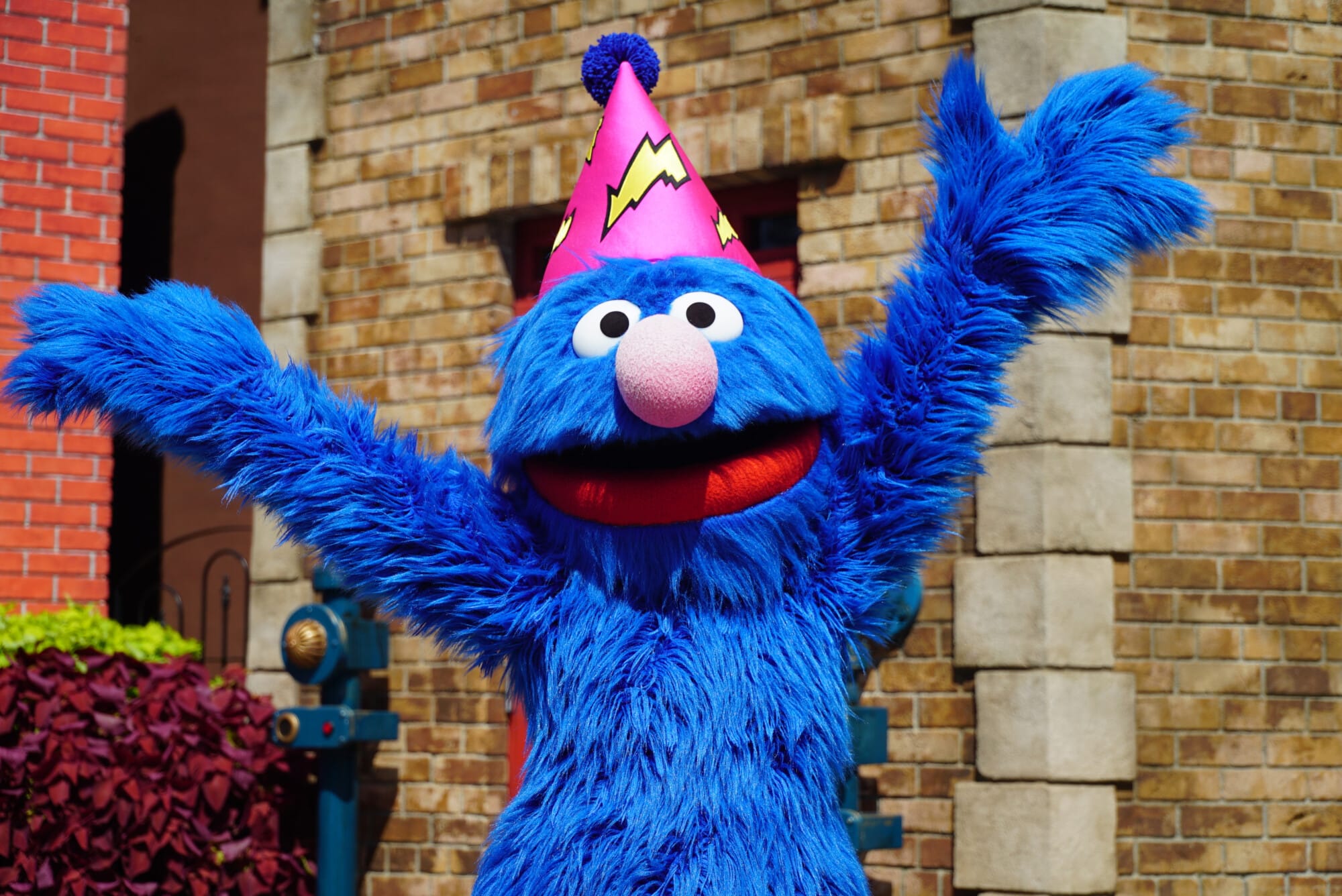 SWOGrovers Birthday | The Main Street Mouse