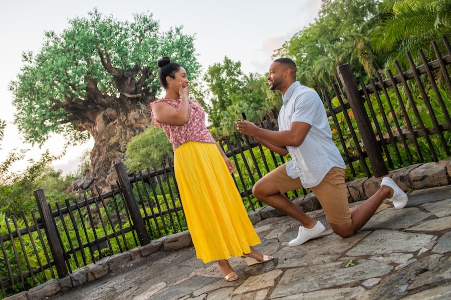 Disney PhotoPass Photoshoot at Walt Disney World Disney's Animal Kingdom Theme Park