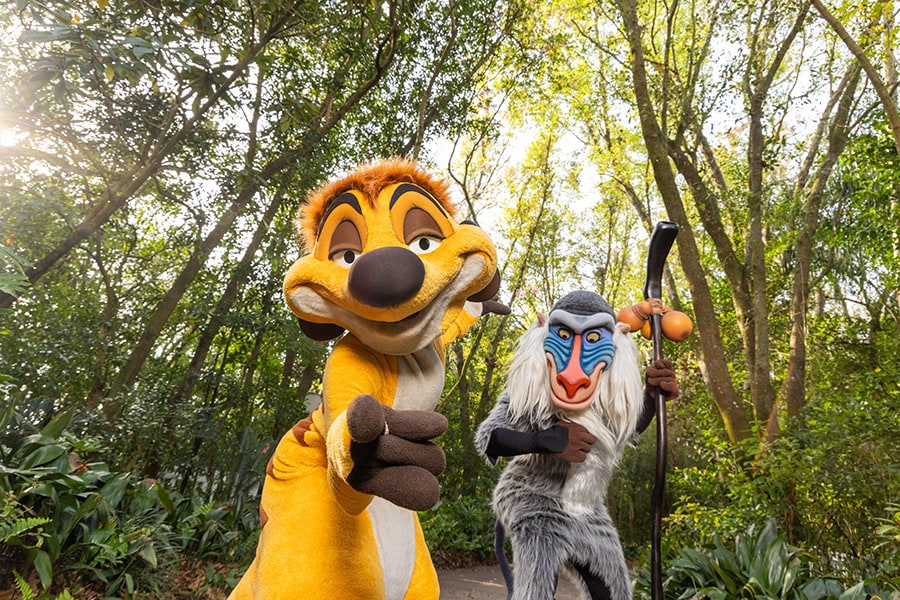 Timon and Rafiki at Disney's Animal Kingdom