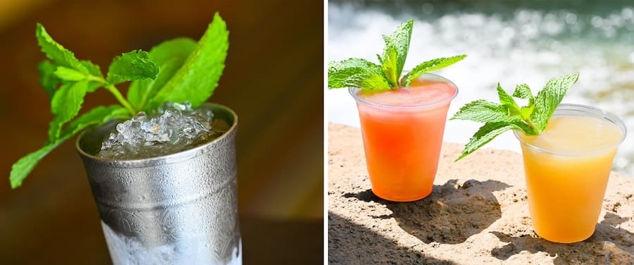 Walt Disney World Resort Mint Juleps at Disneys Saratoga Springs Resort Spa