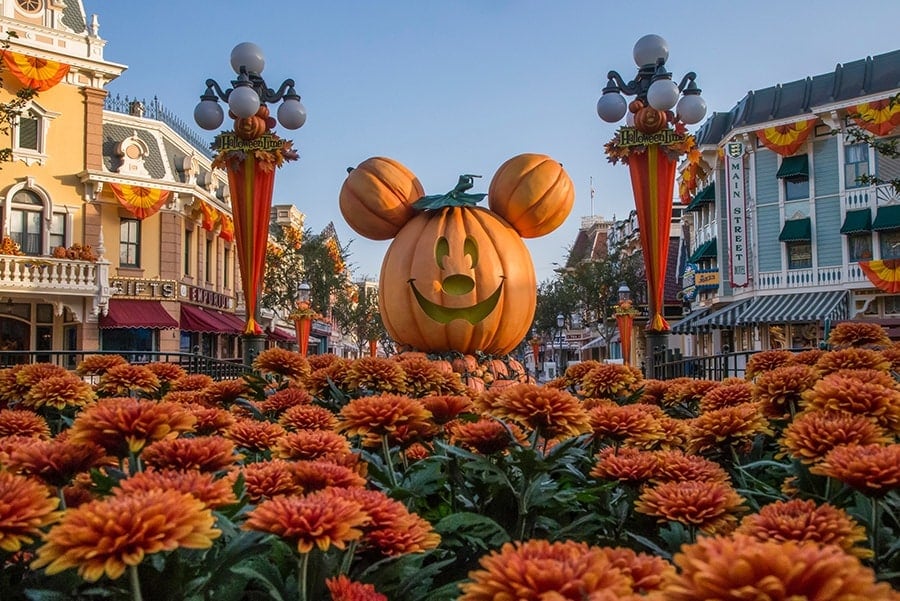 Pumpkins along Main Street, U.S.A., in Disneyland park