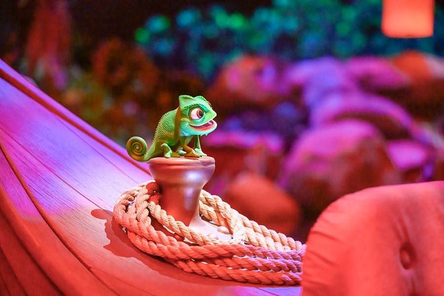 Pascal inside Rapunzel’s Lantern Festival
