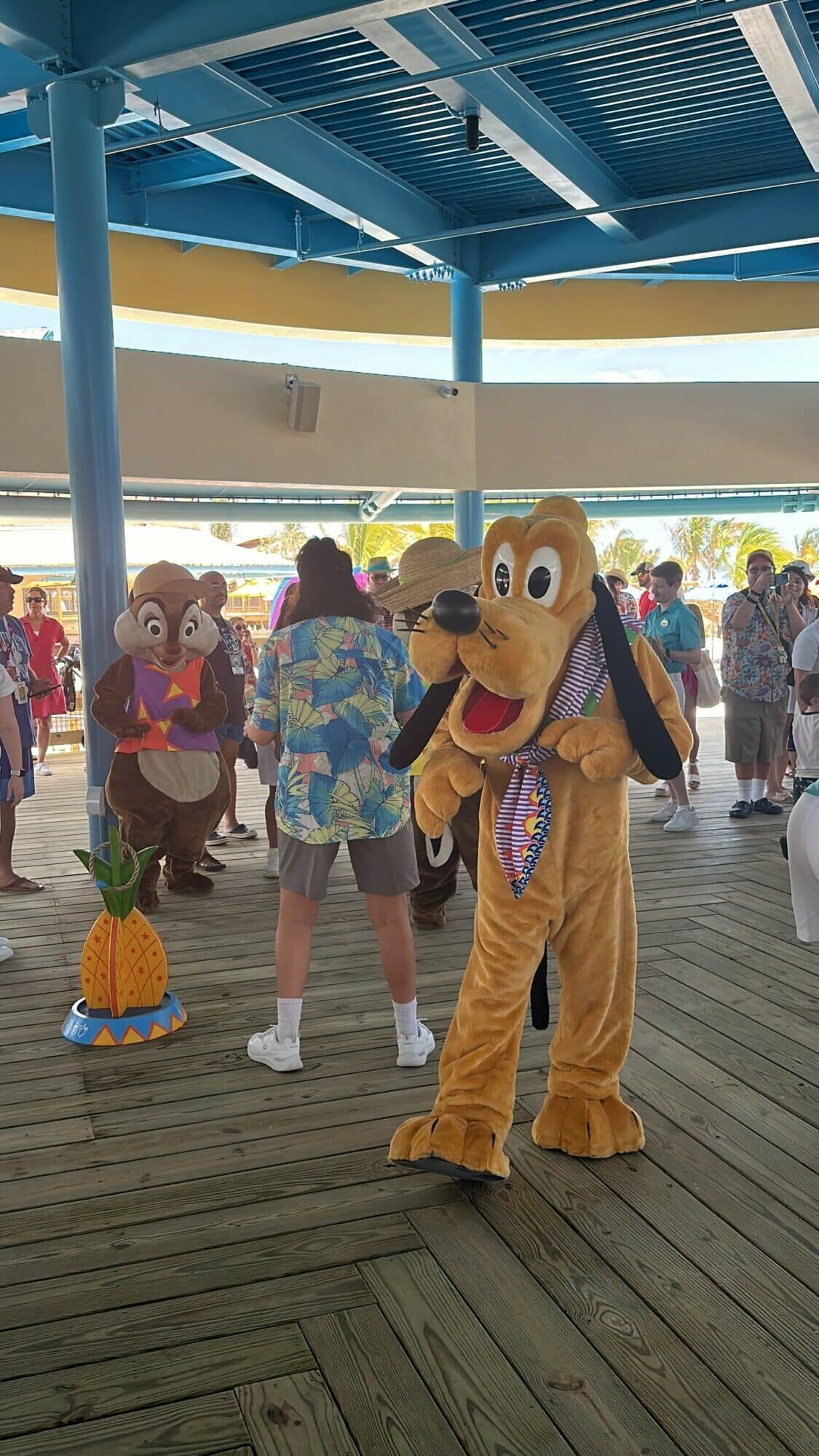 Beach bash | The Main Street Mouse