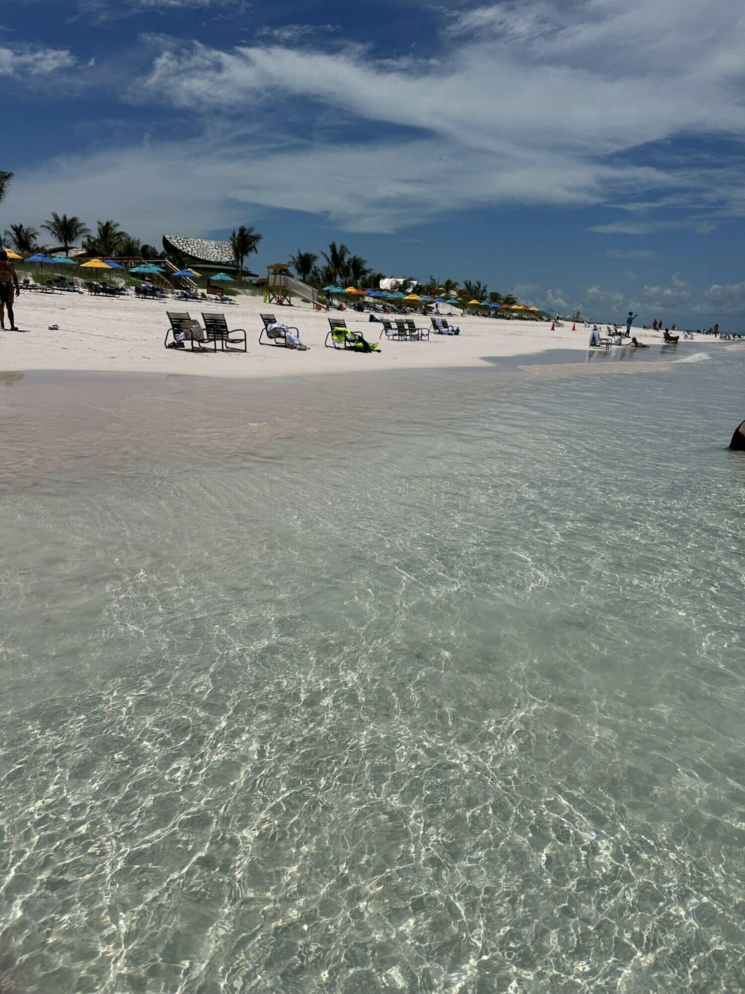 Lookout beach | The Main Street Mouse