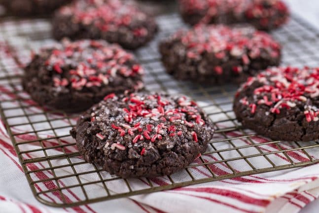 Chocolate Peppermint Cookies