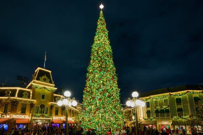 the Christmas Tree at Night on Main Street Usa