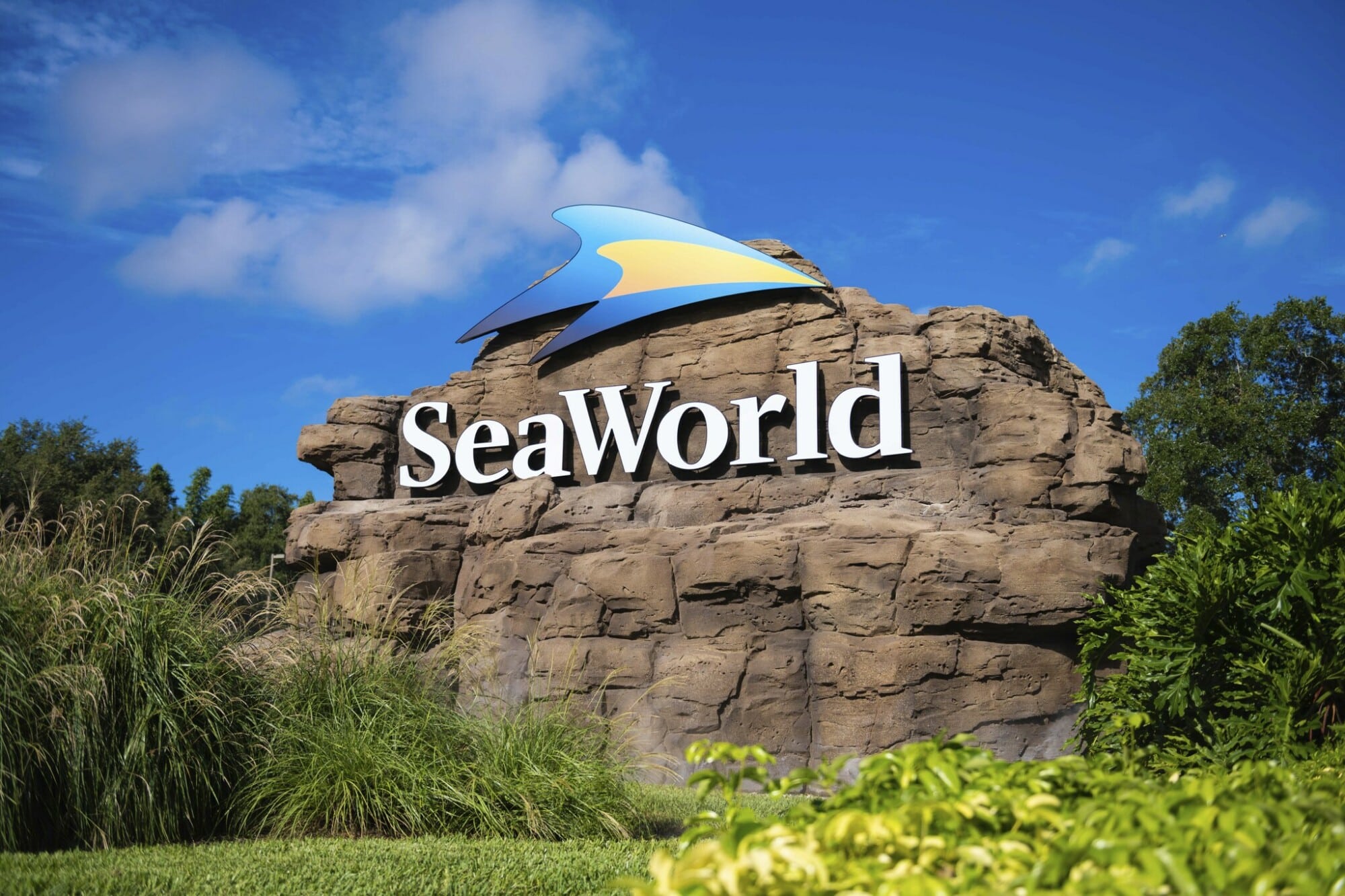 SeaWorld Orlando Offers Free Admission to Florida Teachers