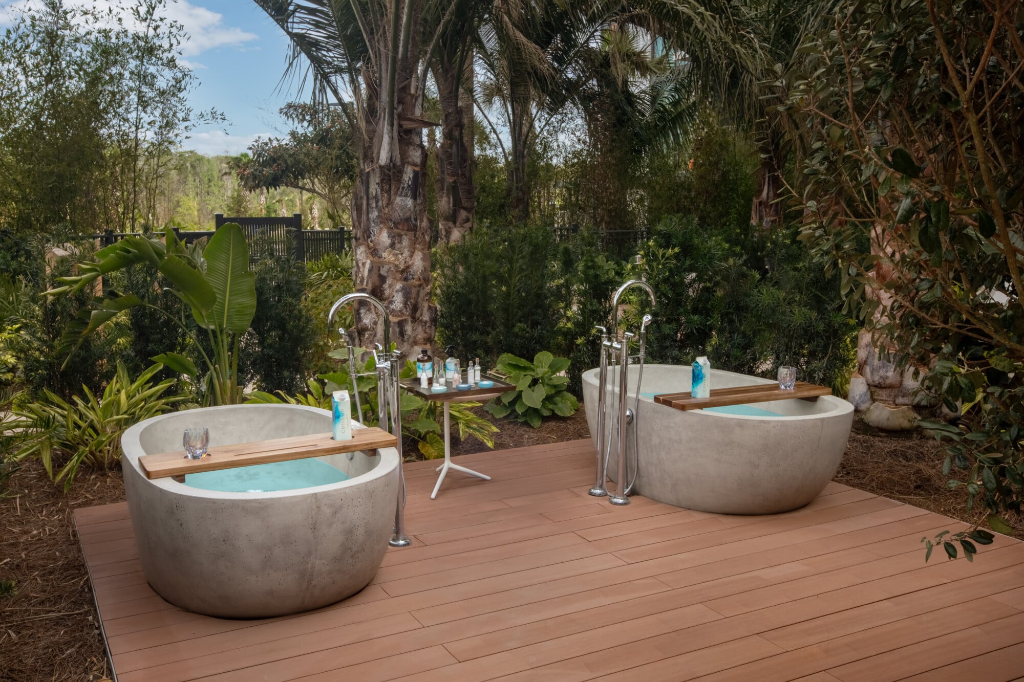 Water GardenConrad Orlando Spa | The Main Street Mouse