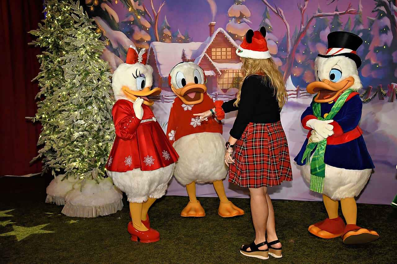 The Ducks