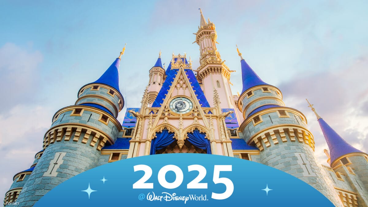 2025 wdw lookahead header