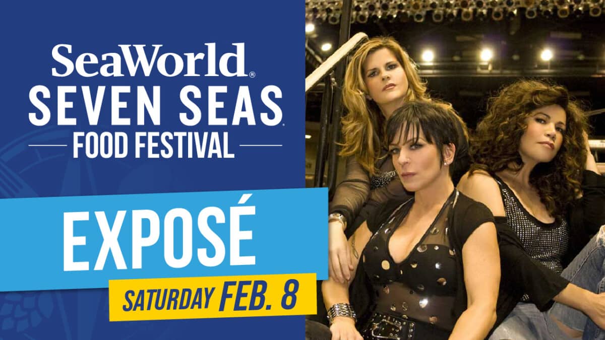 Seven Seas concert expose