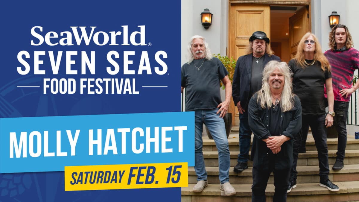 Tonight in Seaworld Orlando with Molly Hatchet