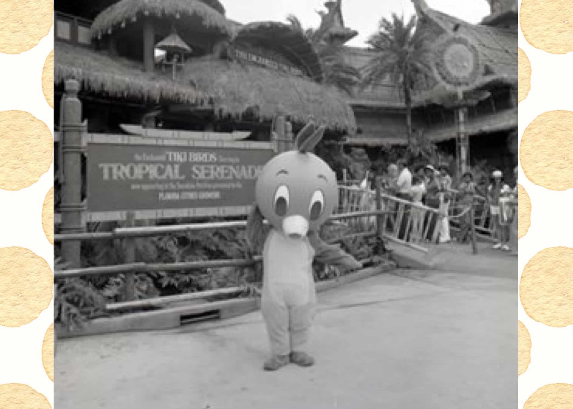 Do you know the Florida Orange Bird | The Main Street Mouse Do you know the Florida Orange Bird