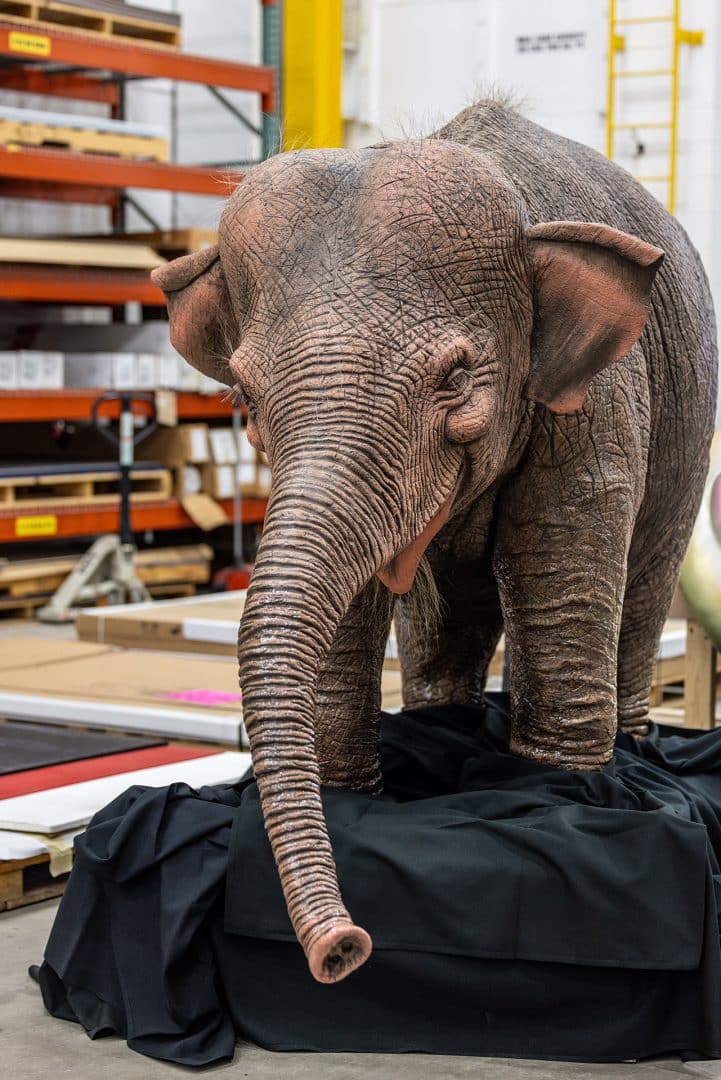 | The Main Street Mouse A Jungle Cruise baby elephant at Central Shops backstage at Disney World