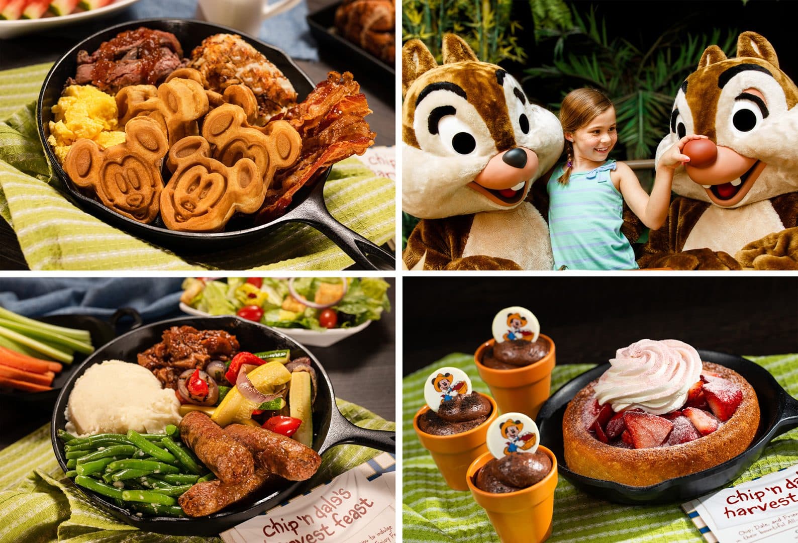 | The Main Street Mouse Garden Grill Restaurant, EPCOT