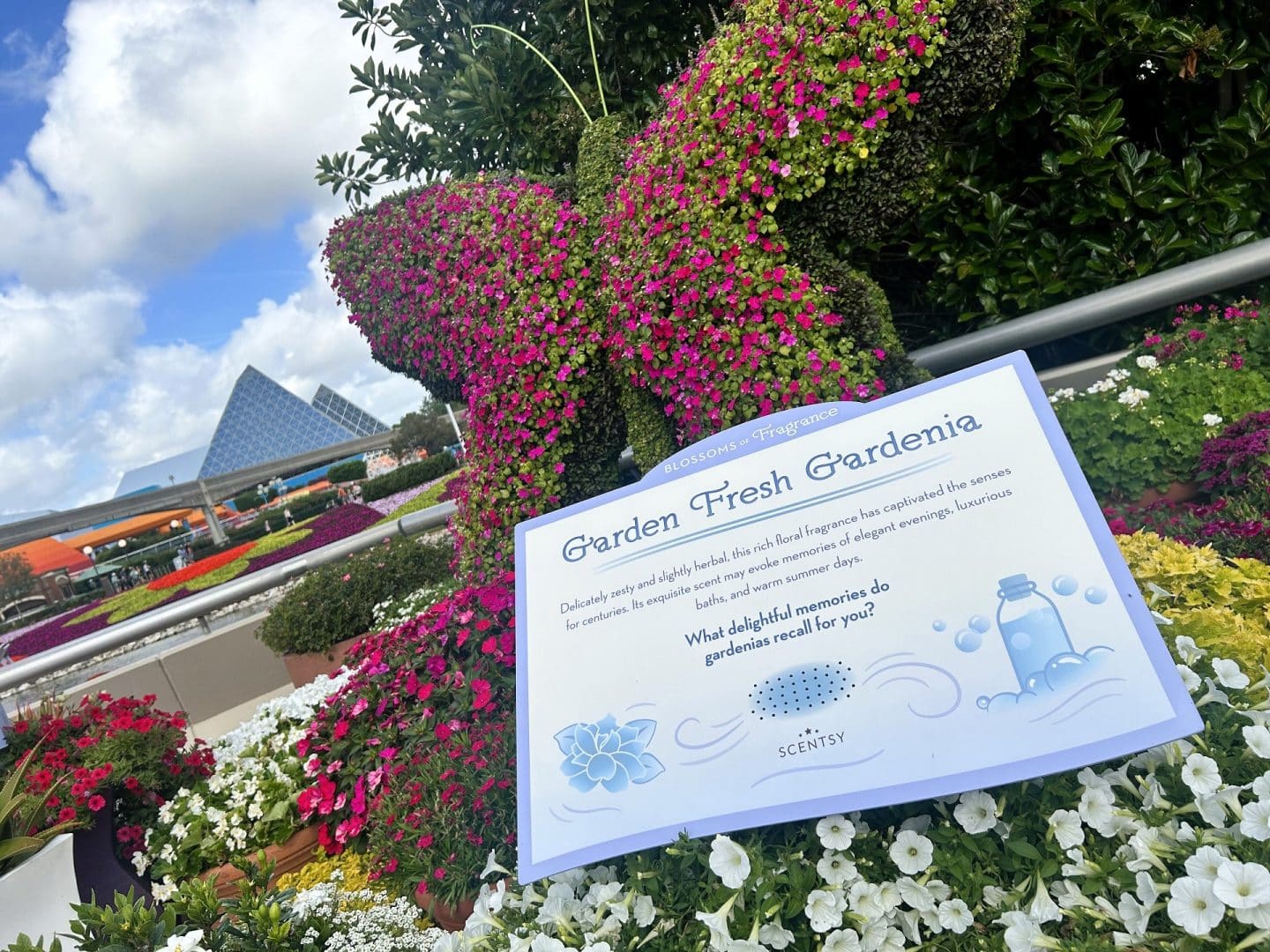 Garden Fresh Gardenia scent station at EPCOT Flower & Garden Festival