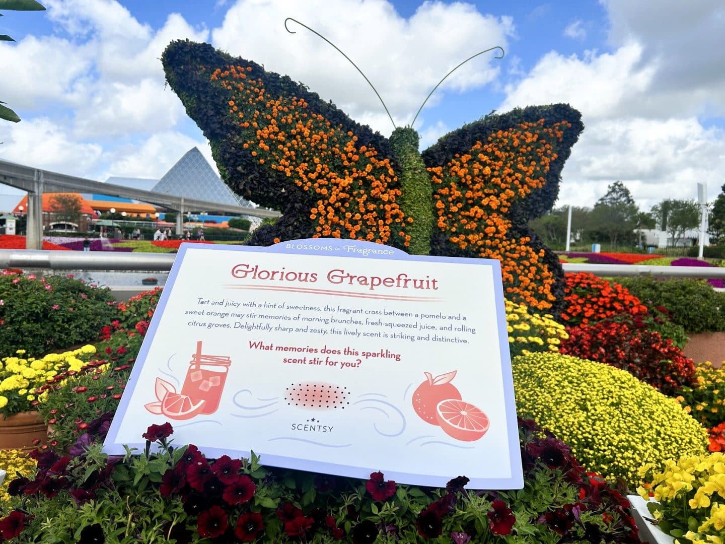 Glorious Grapefruit scent station at EPCOT Flower & Garden Festival