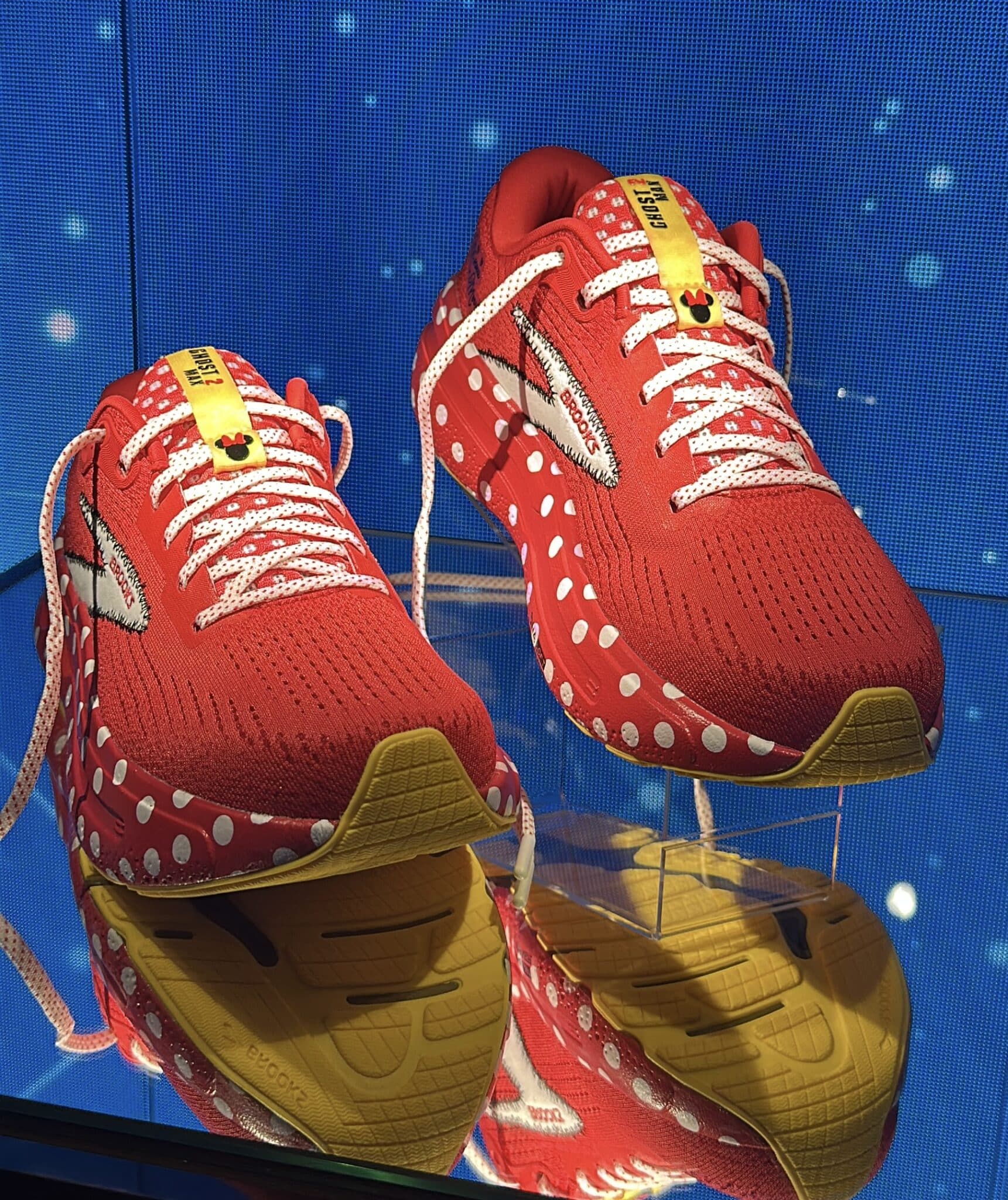 Rundisney Brooks Shoes 