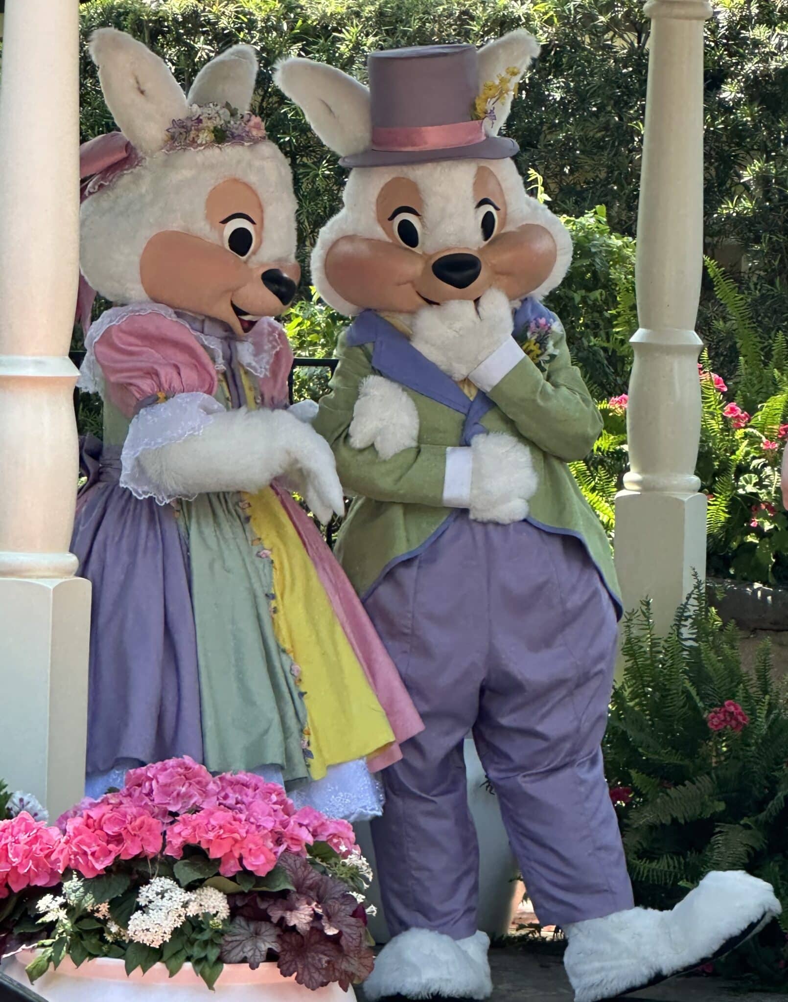 Easter Bunnies Magic Kingdom | The Main Street Mouse Easter Bunnies Magic Kingdom