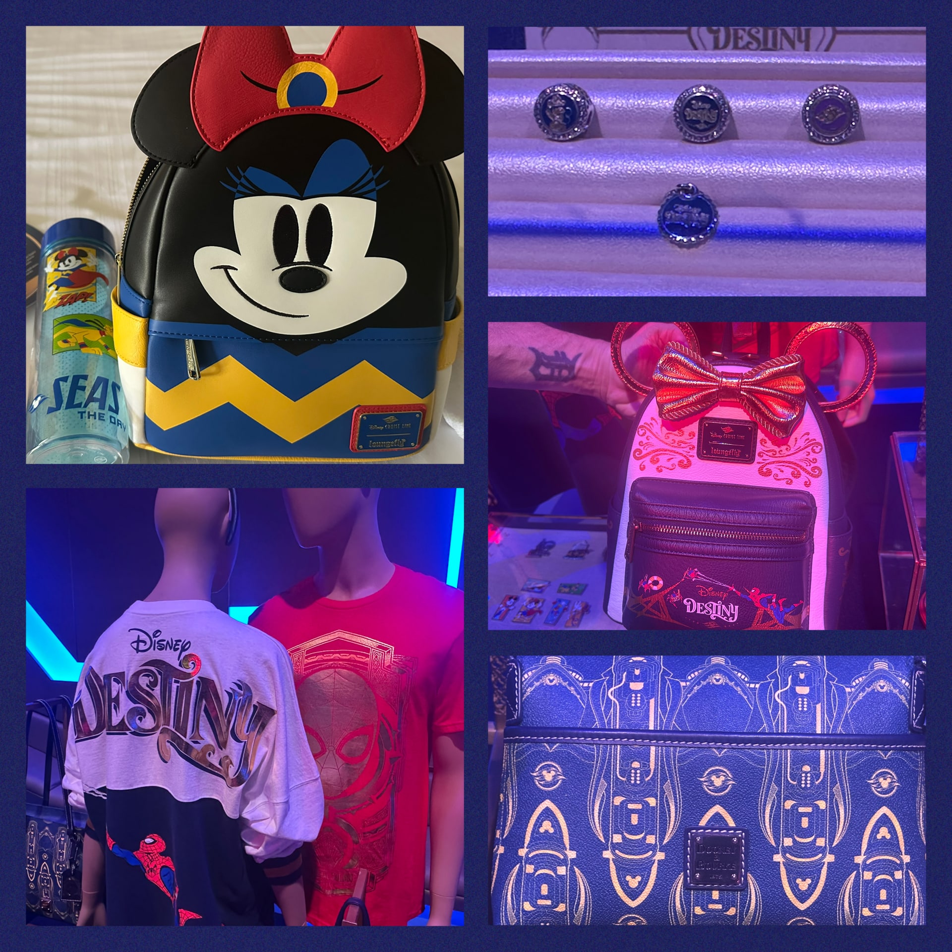 Disney Destiny Merchandise
