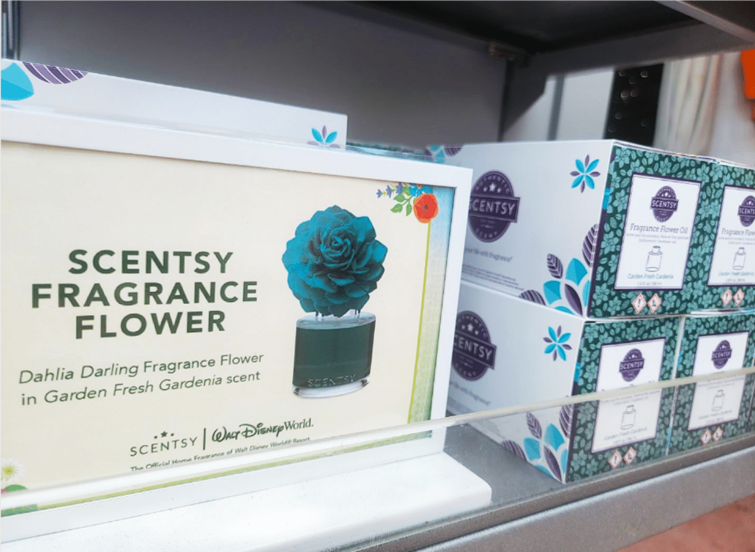 Scentsy Garden Fresh Gardenia fragrance flower at EPCOT Flower & Garden Festival