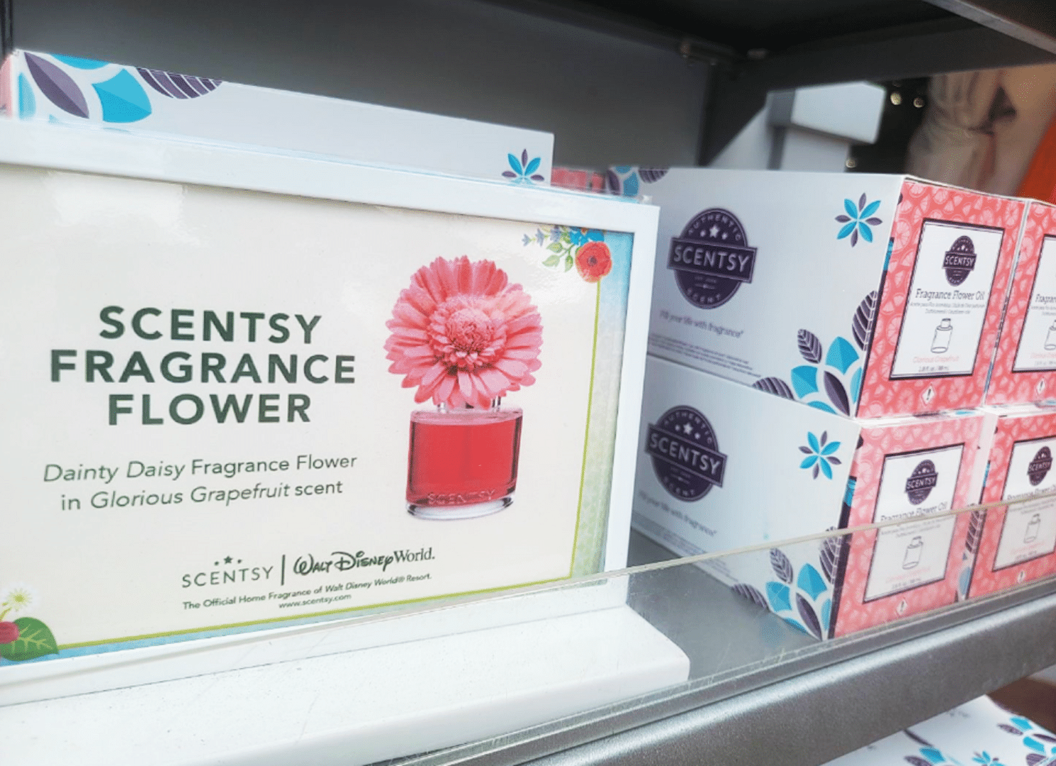 Scentsy Glorious Grapefruit fragrance flower at EPCOT Flower & Garden Festival