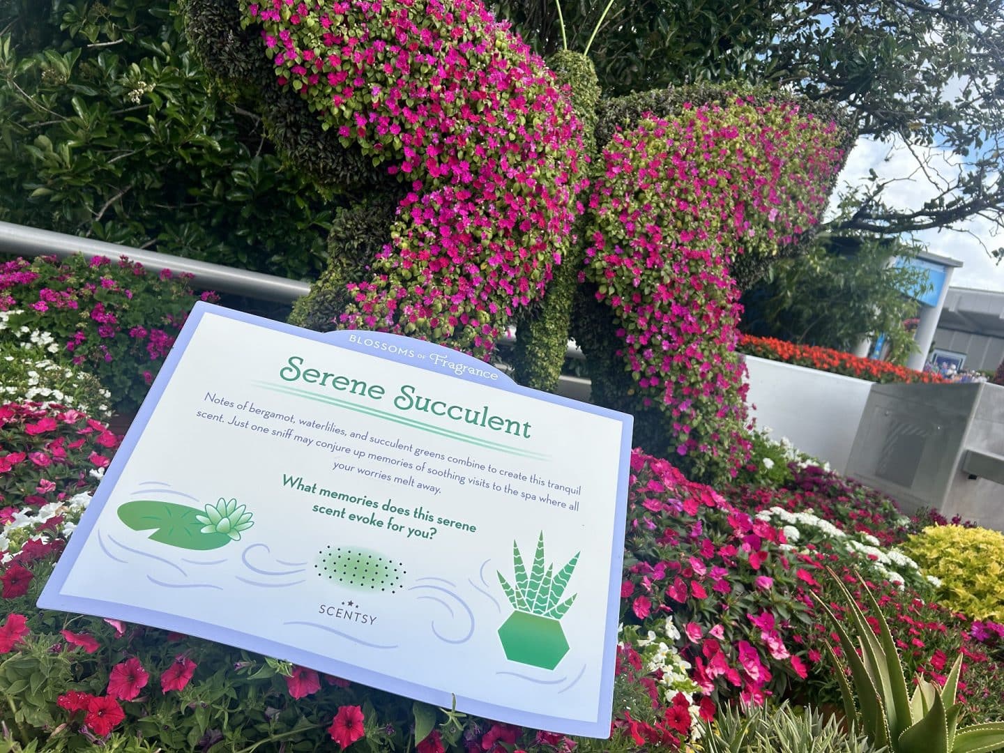 Serene Succulent scent station from Scentsy at EPCOT Flower & Garden Festival
