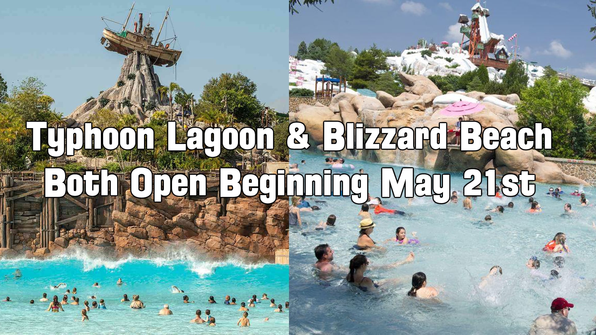 WDW Water Parks