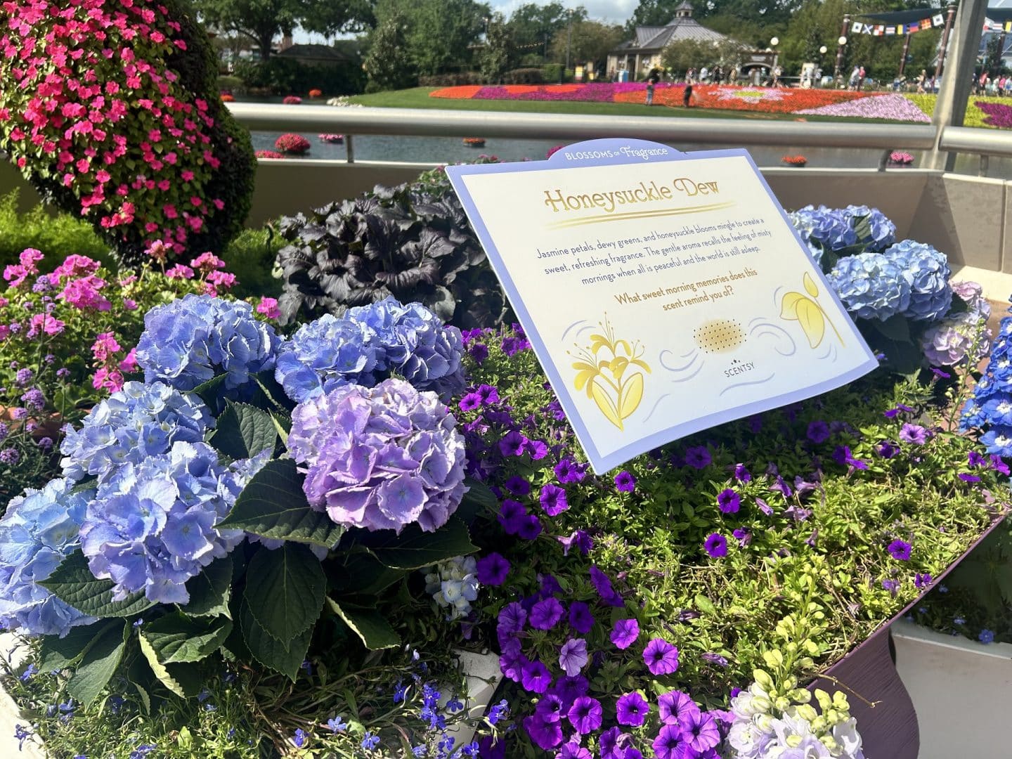 honeysuckle dew scent station from Scentsy at EPCOT Flower & Garden Festival