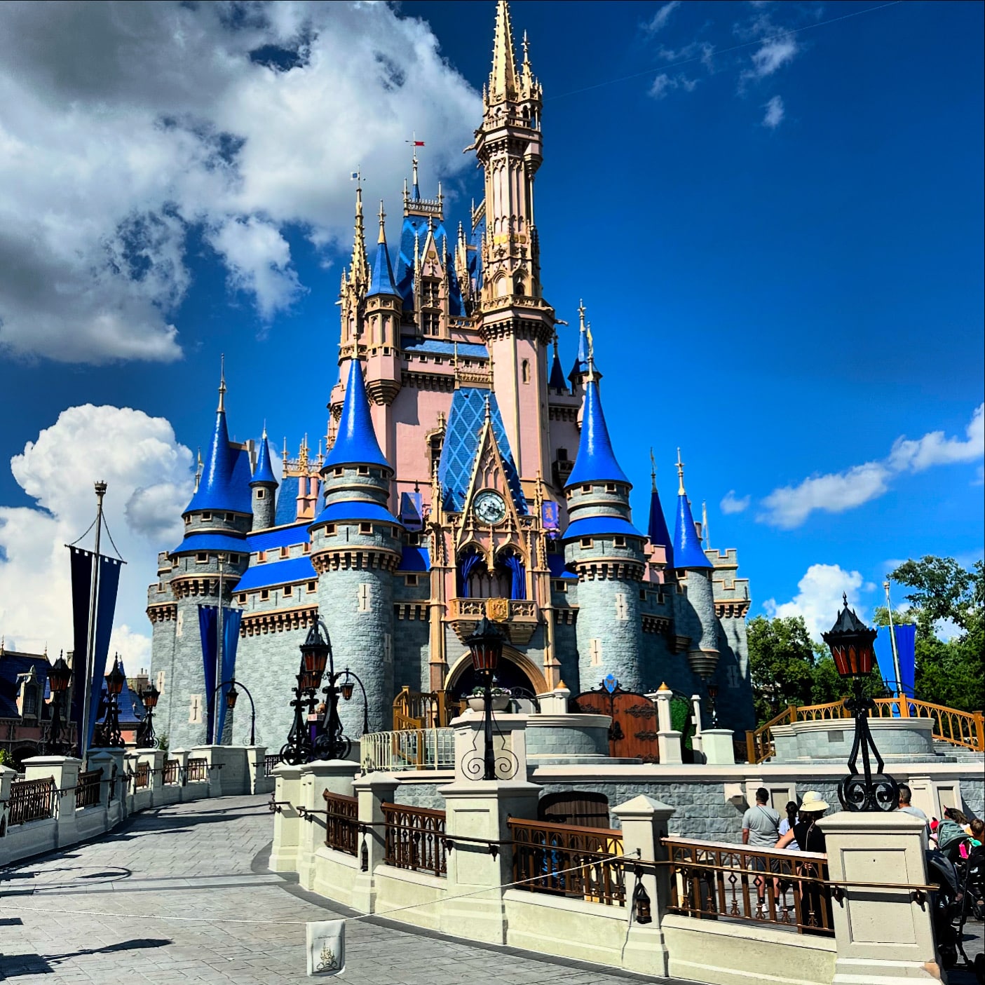 Disney castle | The Main Street Mouse Disney Castle