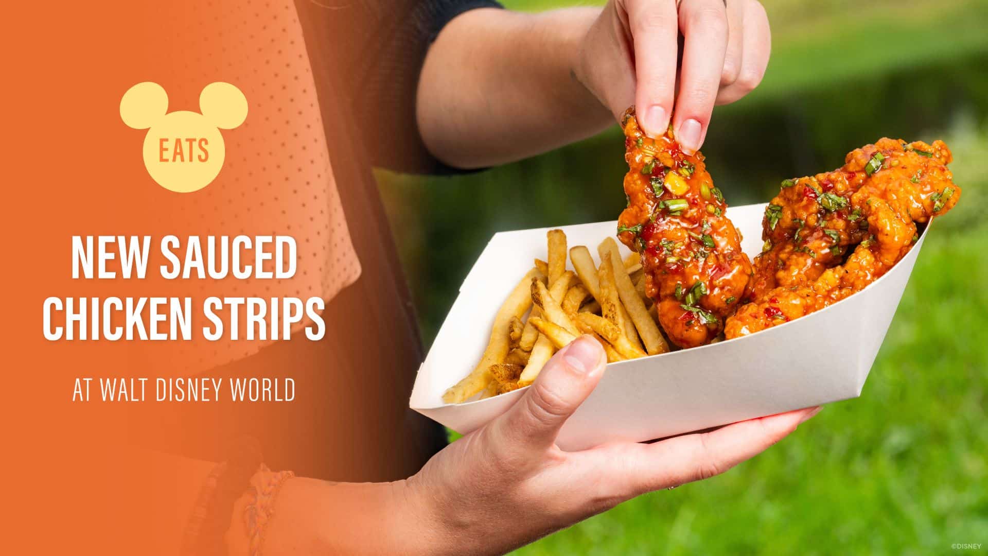 Get Saucy 13 New Chicken Strip Flavors Hit Walt Disney World