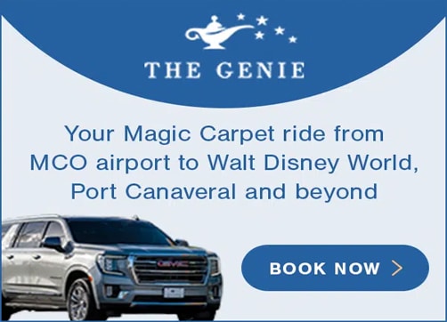 The Genie Transportation Services