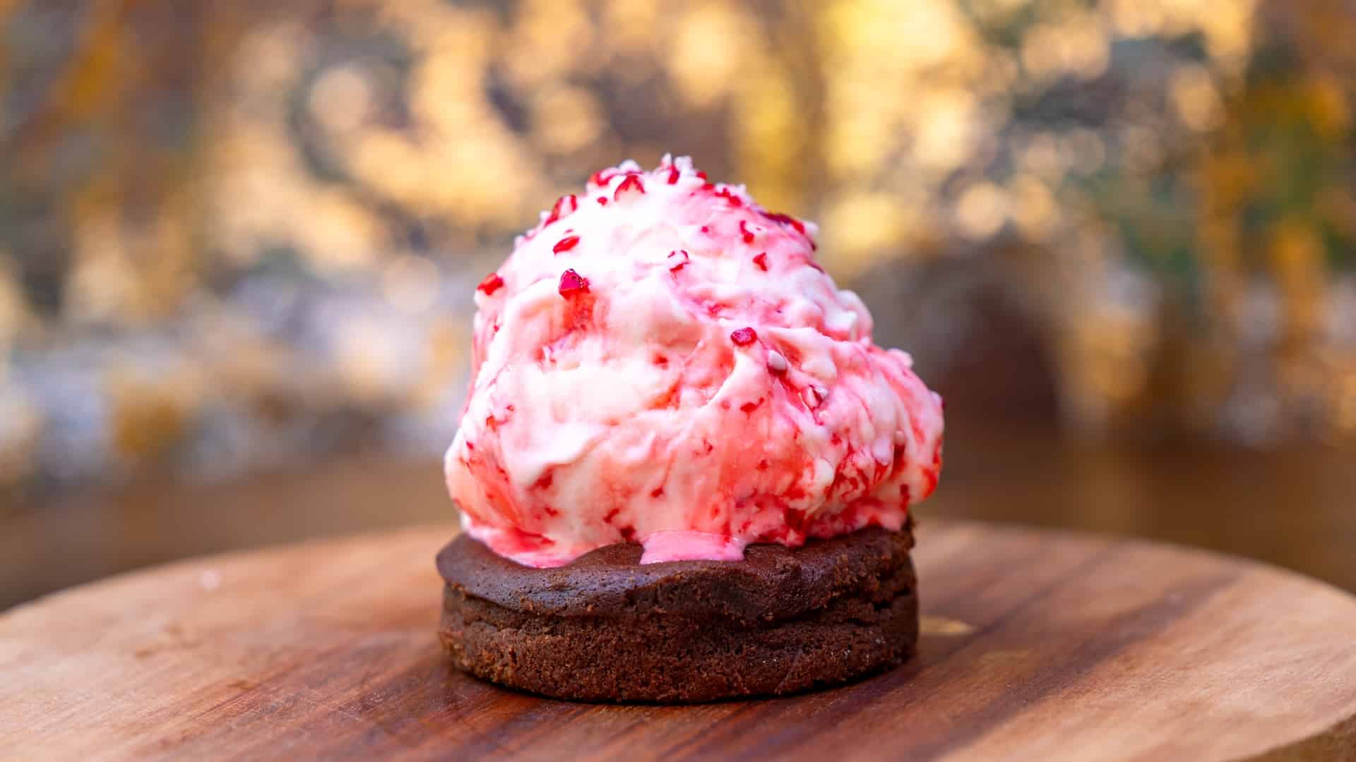 2025DLRFOHFoodieGuideLavaCake | The Main Street Mouse 2025 dlr foh foodie guide lava cake
