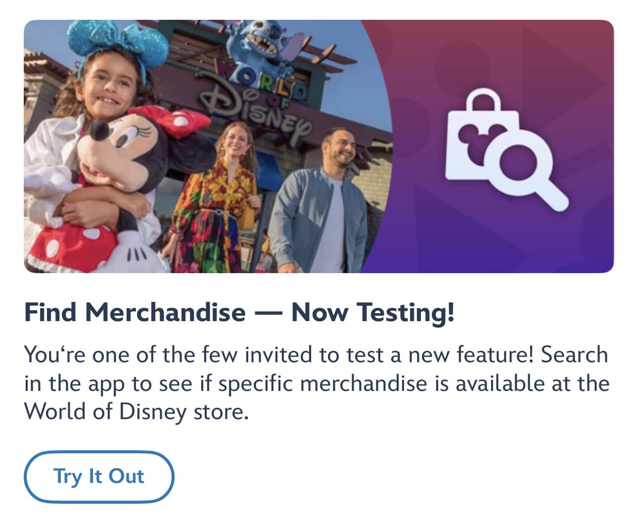 Merch Finder MDE | The Main Street Mouse Merch Finder Mde