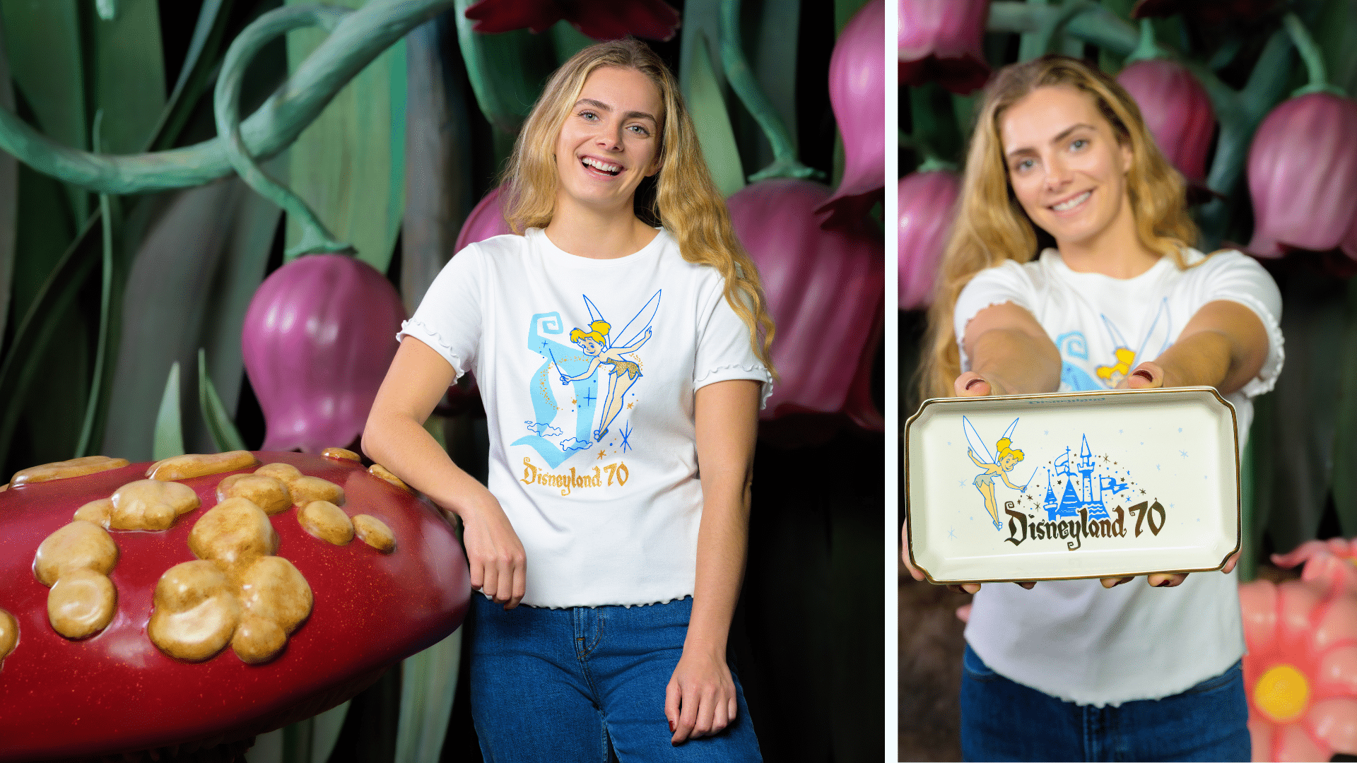 Disneyland-70th-New-Vault-Collection-Merchandise