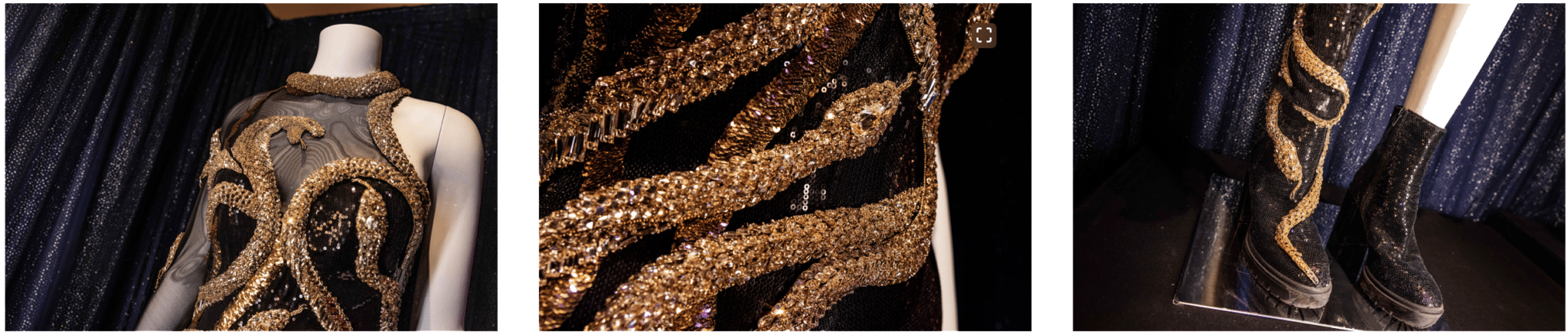 Taylor Swift Costumes