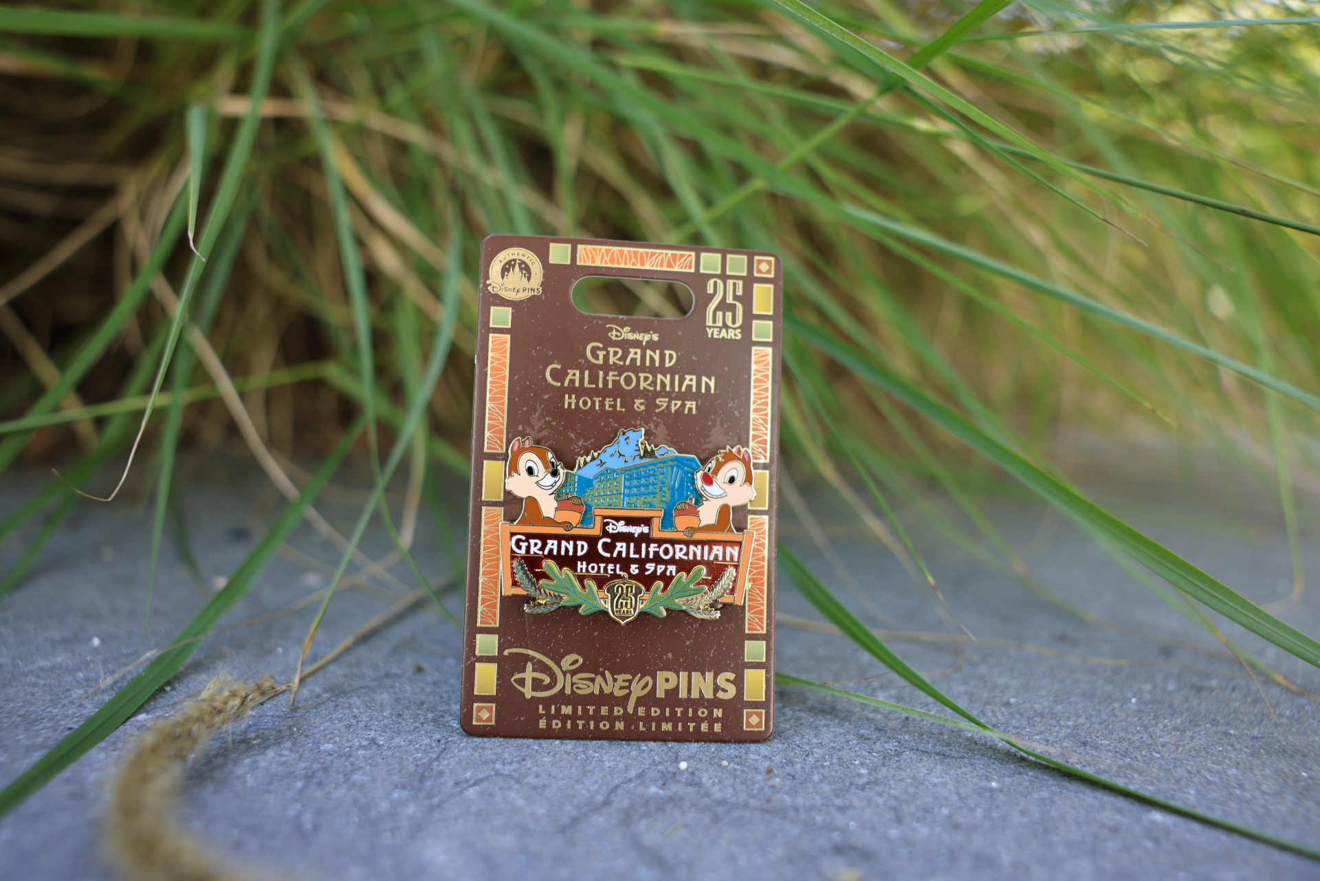 Limited-Edition-25th-Anniversary-Pin-at-Grand-Californian