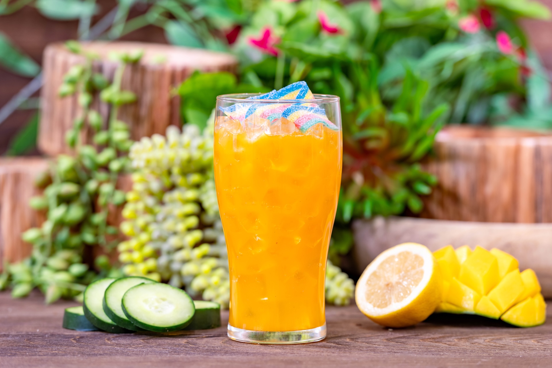 2026 DLR FW Foodie Guide MangoCocktail
