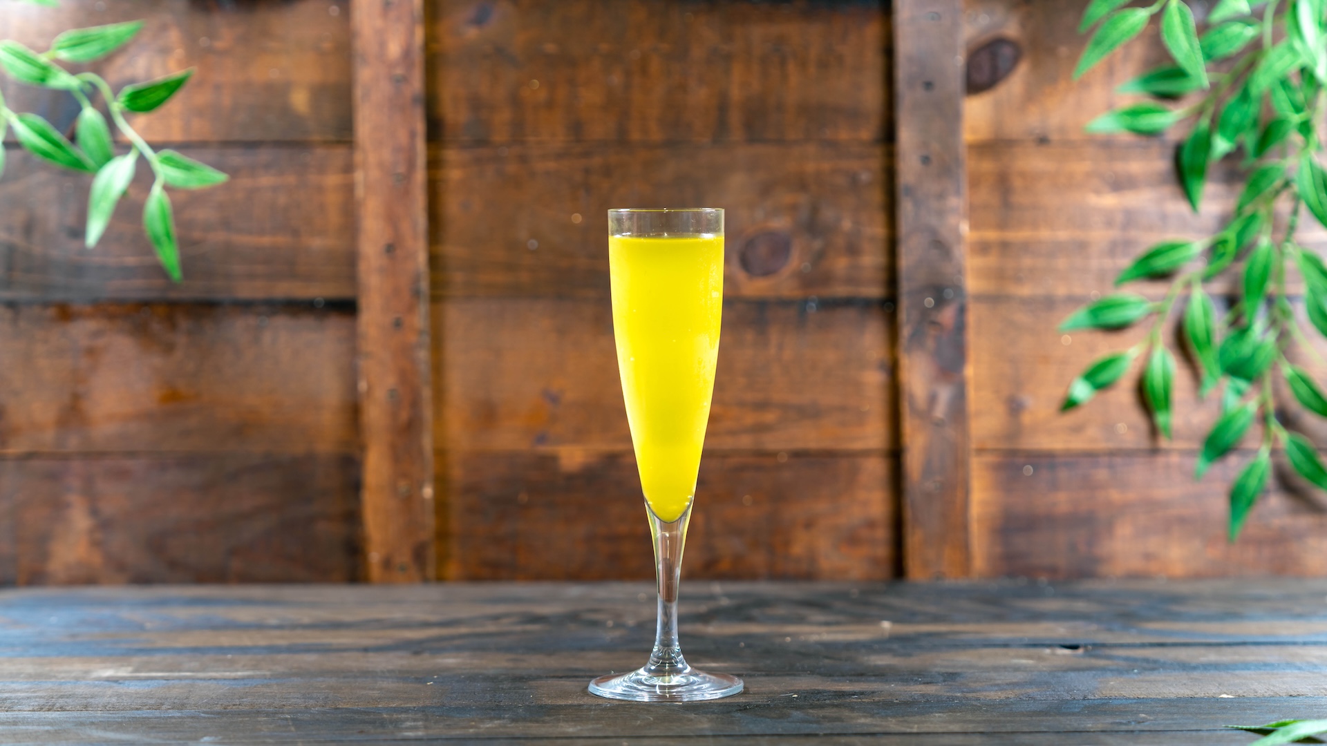 2026 DLR FW Foodie Guide MangoMimosa