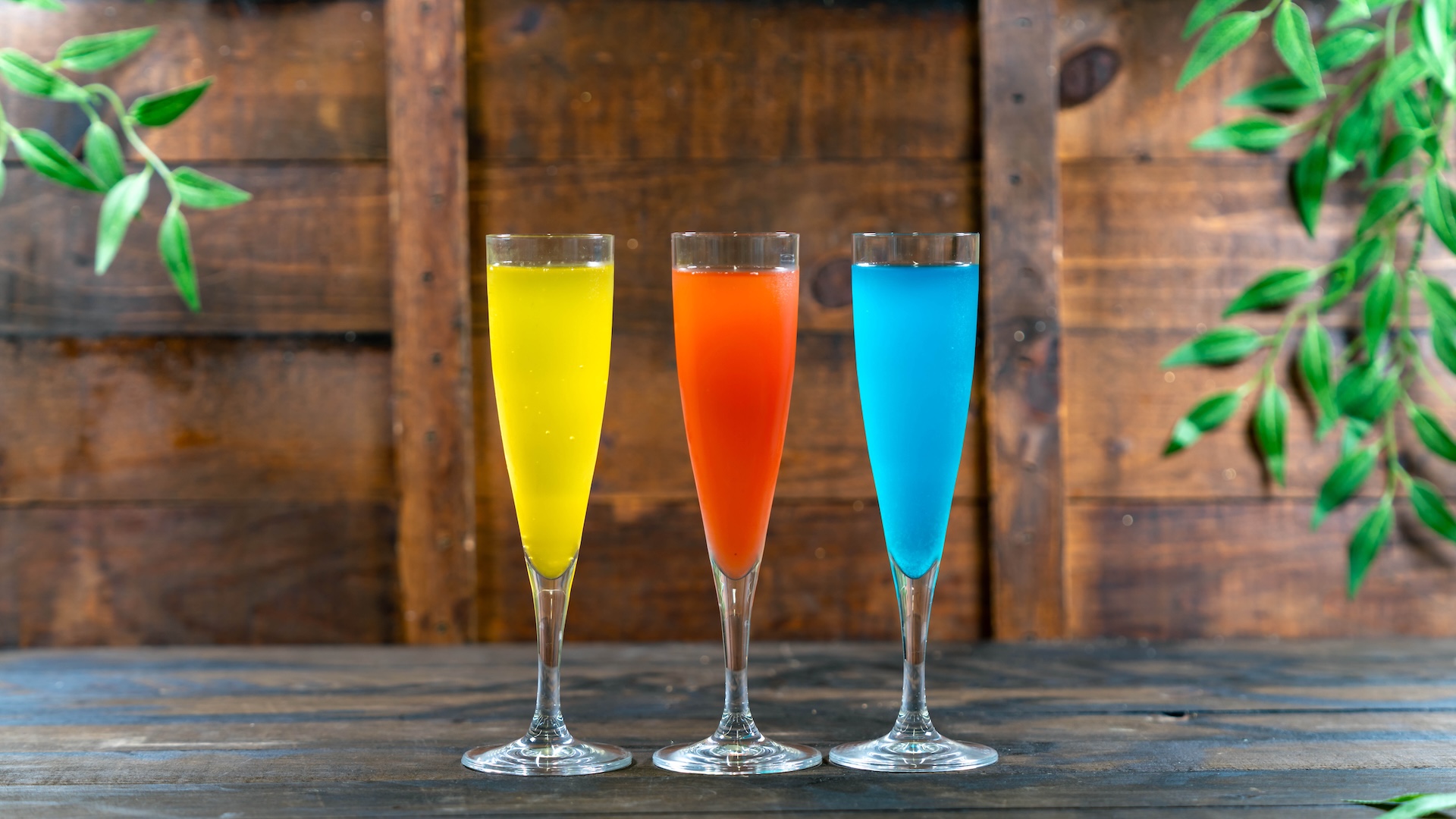 2026 DLR FW Foodie Guide MimosaFlight