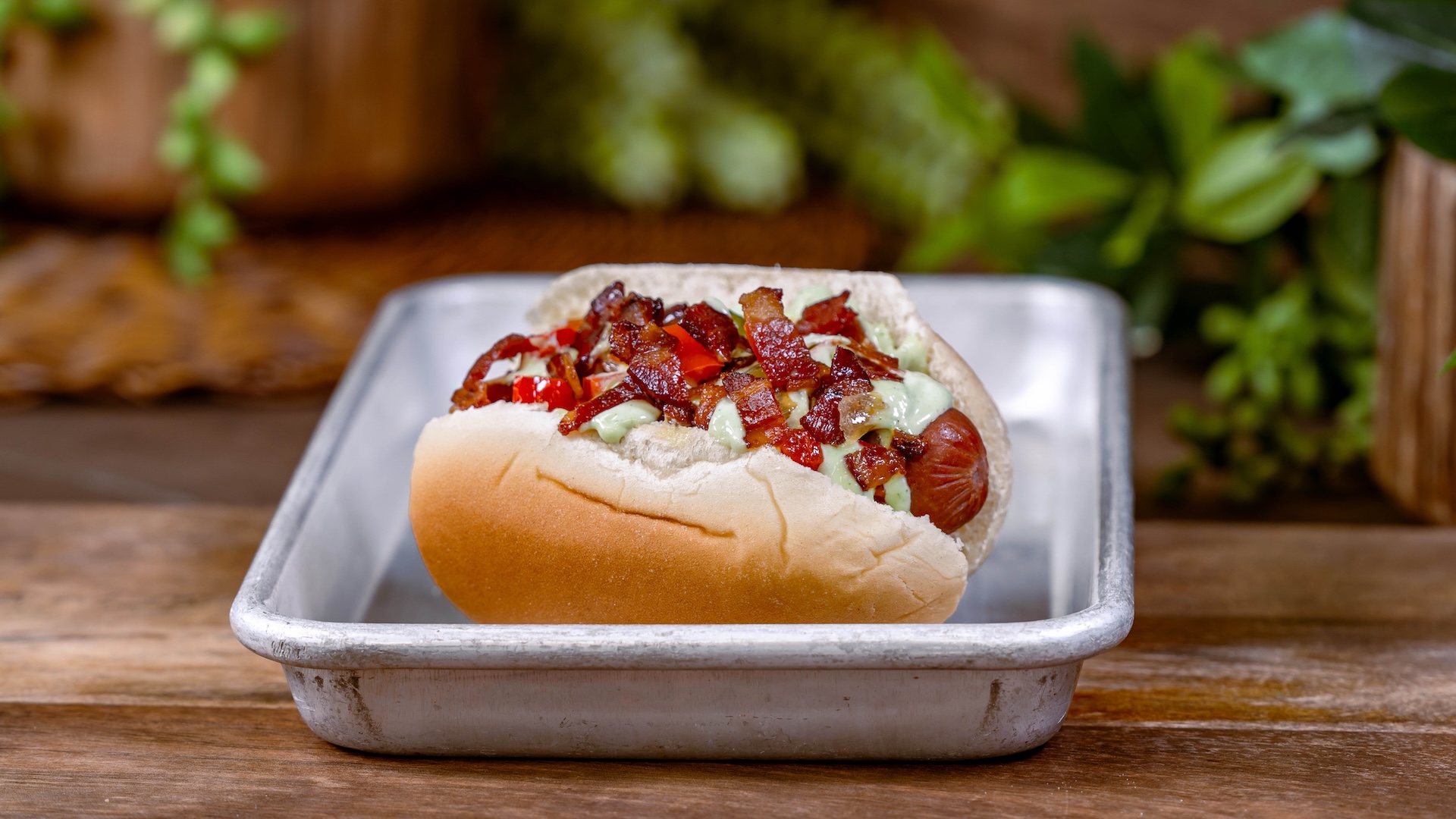2026 DLR FW Foodie Guide StreetDog