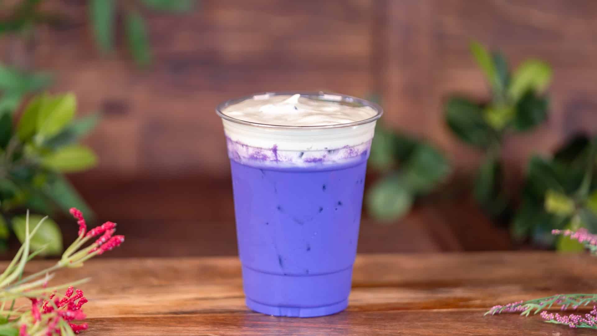 2026 DLR FW Foodie Guide UbeMatcha