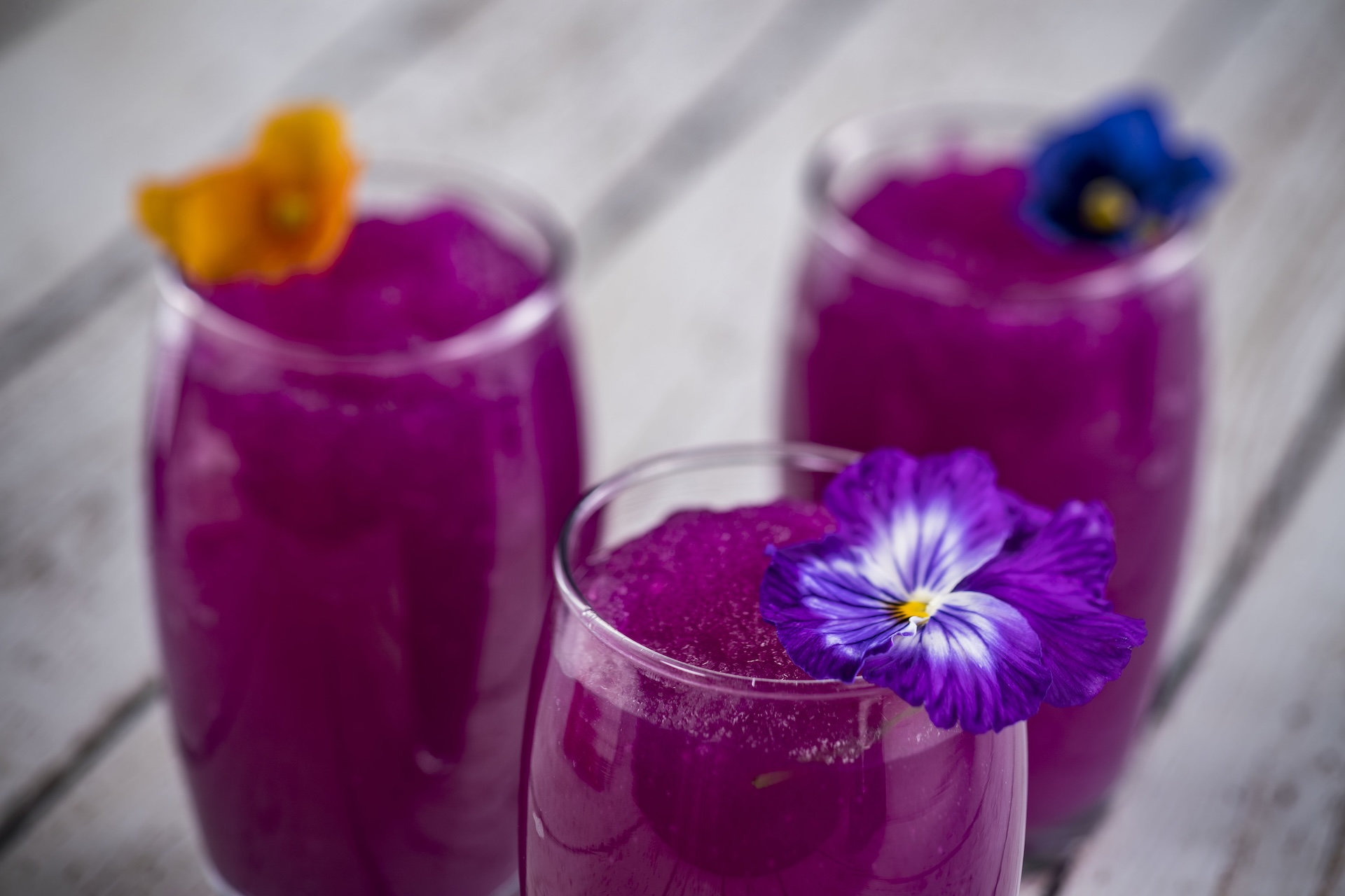 2026 wdw fg foodie guide violetlemonade